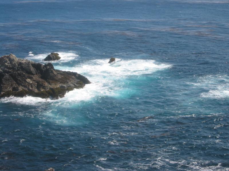 2004/06 June/Monterey Big Sur/800x600_IMG_0883.JPG